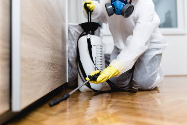 Best Emergency Pest Control  in Poteau, OK