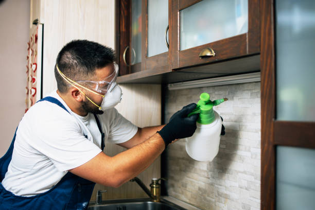 Best Emergency Pest Control  in Poteau, OK
