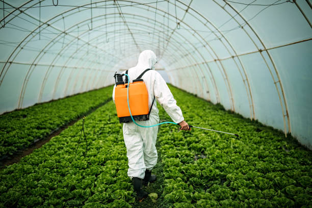 Best Best Pest Control Companies  in Poteau, OK