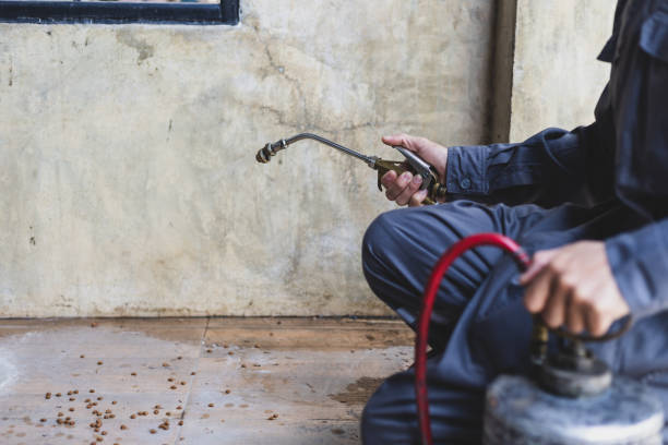 Best Cockroach Control Services  in Poteau, OK
